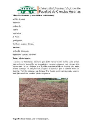 Materiales utilizados (elaboración de tablón común)
a) Hilo ferretería
b) Estaca
c) Rastrillo
d) Pala
e) Machete
f) Asada
g) Regadera
h) Abono (estiércol de vaca)
Insumos.
a) Semilla de rabanito
b) Plantines cebollita de verdeo
Primer día de trabajo.
-Llevamos las herramientas necesarias para poder elaborar nuestro tablón. Cómo primer
paso realizamos las medidas correspondientes, clavamos estacas en cada extremos con
una anchura 120 cm y de largo 10 m de tablón colocando el hilo de ferretería para poder
realizar el trabajo con más precisión y dejando un espaciado para la caminera de 50 cm
de ancho. También realizamos una limpieza de la fracción que nos correspondía, sacamos
todo tipo de malezas, semillas y restos de pasturas.
Segundo día de trabajo-Una semana después.
 