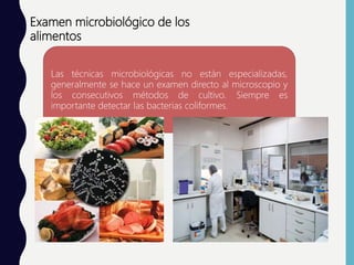 MICROBIOLOGIA DE LOS ALIMENTOS | PPTX