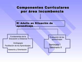 Componentes Curriculares por área incumbencia  El Adulto en Situación de aprendizaje Fundamentos de la Educación a Distancia Evaluación de los aprendizajes Andragogía Facilitación de los Aprendizajes Asesoría y Orientación Seminario I Seminario II 