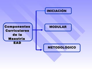 INICIACIÓN MODULAR Componentes Curriculares de la Maestría  EAD METODOLÓGICO 