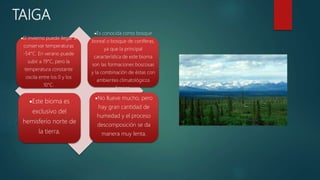 TAIGA
El invierno puede llegar a
conservar temperaturas
-54°C. En verano puede
subir a 19°C, pero la
temperatura constante
oscila entre los 0 y los
10°C.
Es conocida como bosque
boreal o bosque de coníferas,
ya que la principal
característica de este bioma
son las formaciones boscosas
y la combinación de éstas con
ambientes climatológicos
frescos.
Este bioma es
exclusivo del
hemisferio norte de
la tierra.
No llueve mucho, pero
hay gran cantidad de
humedad y el proceso
descomposición se da
manera muy lenta.
 