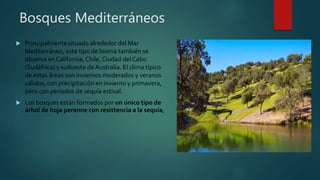 Bosques Mediterráneos
 Principalmente situado alrededor del Mar
Mediterráneo, este tipo de bioma también se
observa en California,Chile,Ciudad del Cabo
(Sudáfrica) y sudoeste de Australia. El clima típico
de estas áreas son inviernos moderados y veranos
cálidos, con precipitación en invierno y primavera,
pero con periodos de sequía estival.
 Los bosques están formados por un único tipo de
árbol de hoja perenne con resistencia a la sequía,
 