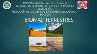 UNIVERSIDAD CENTRAL DEL ECUADOR
FACULTAD DE FILOSOFÍA, LETRAS Y CIENCIAS DE LA
EDUCACIÓN
PEDAGOGÍA DE LAS CIENCIAS EXPERIMENTALES QUÍMICA Y
BIOLOGÍA
BIOMAS TERRESTRES
 