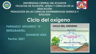 UNIVERSIDAD CENTRAL DEL ECUADOR
FACULTAD DE FILOSOFÍA, LETRAS Y CIENCIAS DE LA
EDUCACIÓN
PEDAGOGÍA DE LAS CIENCIAS EXPERIMENTALES QUÍMICA Y
BIOLOGÍA
PARALELO: SEGUNDO “A”
INTEGRANTES:
GUAMAN ANA
Fecha: 2021
Ciclo del oxígeno
 