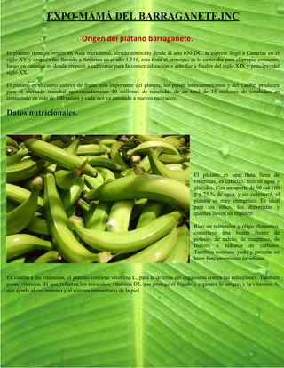 EXPO-MAMÁ DEL BARRAGANETE.INC

                                 Origen del plátano barraganete.
El plátano tiene su origen en Asia meridional, siendo conocido desde el año 650 DC, la especie llegó a Canarias en el
siglo XV y después fue llevado a América en el año 1.516, esta fruta al principio se lo cultivaba para el propio consumo,
luego en canarias es donde empezó a cultivarse para la comercialización y esto fue a finales del siglo XIX y principio del
siglo XX.

El plátano es el cuarto cultivo de frutas más importante del planeta, los países latinoamericanos y del Caribe, producen
para el mercado mundial aproximadamente 10 millones de toneladas de un total de 15 millones de toneladas; es
consumido en más de 100 países y cada vez va entrando a nuevos mercados.

Datos nutricionales.




                                                                                   El plátano es una fruta llena de
                                                                                   vitaminas, es calórico, rico en agua y
                                                                                   glúcidos. Con un aporte de 90 cal/100
                                                                                   g y 75 % de agua, y sin colesterol, el
                                                                                   plátano es muy energético. Es ideal
                                                                                   para los niños, los deportistas y
                                                                                   quienes lleven un régimen.

                                                                                   Rico en minerales y oligo elementos,
                                                                                   constituye una buena fuente de
                                                                                   potasio, de calcio, de magnesio, de
                                                                                   fósforo e hidratos de carbono.
                                                                                   También contiene yodo y permite un
                                                                                   buen funcionamiento tiroidiano.


En cuanto a las vitaminas, el plátano contiene vitamina C, para la defensa del organismo contra las infecciones. También
posee vitamina B1 que refuerza los músculos, vitamina B2, que protege el hígado y regenera la sangre, y la vitamina A,
que ayuda al crecimiento y al sistema inmunitario de la piel.
 