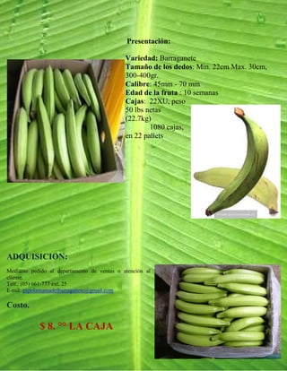 Presentación:

                                             Variedad: Barraganete
                                             Tamaño de los dedos: Min. 22cm Max. 30cm,
                                             300-400gr.
                                             Calibre: 45mm - 70 mm
                                             Edad de la fruta : 10 semanas
                                             Cajas: 22XU, peso
                                             50 lbs netas
                                             (22.7kg)
                                                     1080 cajas,
                                             en 22 pallets




ADQUISICION:
Mediante pedido al departamento de ventas o atención al
cliente.
Telf.: (05) 661-777 ext. 25
E-mil: expolamamadelbarraganete@gmail.com

Costo.

            $ 8. °° LA CAJA
 
