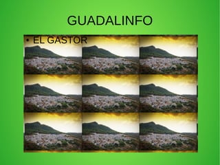 GUADALINFO
● EL GASTOR
 