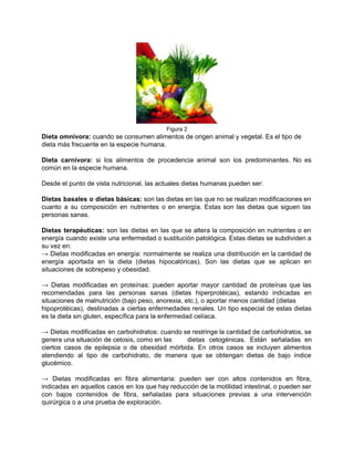  
Figura 2 
Dieta omnívora: cuando se consumen alimentos de origen animal y vegetal. Es el tipo de 
dieta más frecuente en la especie humana. 
 
Dieta carnívora: si los alimentos de procedencia animal son los predominantes. No es                         
común en la especie humana. 
 
Desde el punto de vista nutricional, las actuales dietas humanas pueden ser:  
 
Dietas basales o dietas básicas: son las dietas en las que no se realizan modificaciones en                               
cuanto a su composición en nutrientes o en energía. Estas son las dietas que siguen las                               
personas sanas. 
 
Dietas terapéuticas: son las dietas en las que se altera la composición en nutrientes o en                               
energía cuando existe una enfermedad o sustitución patológica. Estas dietas se subdividen a                         
su vez en: 
→ Dietas modificadas en energía: normalmente se realiza una distribución en la cantidad de                           
energía aportada en la dieta (dietas hipocalóricas). Son las dietas que se aplican en                           
situaciones de sobrepeso y obesidad. 
 
→ Dietas modificadas en proteínas: pueden aportar mayor cantidad de proteínas que las                         
recomendadas para las personas sanas (dietas hiperprotéicas), estando indicadas en                   
situaciones de malnutrición (bajo peso, anorexia, etc.), o aportar menos cantidad (dietas 
hipoprotéicas), destinadas a ciertas enfermedades renales. Un tipo especial de estas dietas                       
es la dieta sin gluten, específica para la enfermedad celíaca. 
 
→ Dietas modificadas en carbohidratos: cuando se restringe la cantidad de carbohidratos, se                         
genera una situación de cetosis, como en las  dietas cetogénicas. Están señaladas en         
ciertos casos de epilepsia o de obesidad mórbida. En otros casos se incluyen alimentos                           
atendiendo al tipo de carbohidrato, de manera que se obtengan dietas de bajo índice                           
glucémico. 
 
→ Dietas modificadas en fibra alimentaria: pueden ser con altos contenidos en fibra,                         
indicadas en aquellos casos en los que hay reducción de la motilidad intestinal, o pueden ser                               
con bajos contenidos de fibra, señaladas para situaciones previas a una intervención                       
quirúrgica o a una prueba de exploración. 
 
 