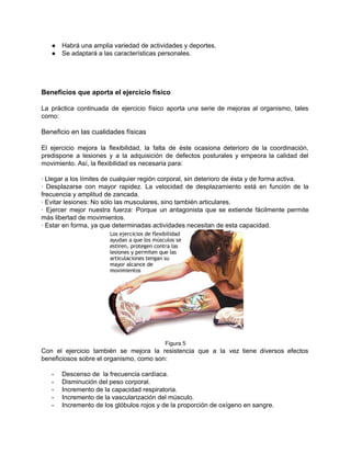 ● Habrá una amplia variedad de actividades y deportes. 
● Se adaptará a las características personales. 
 
 
 
 
Beneficios que aporta el ejercicio físico 
 
La práctica continuada de ejercicio físico aporta una serie de mejoras al organismo, tales                           
como: 
 
Beneficio en las cualidades físicas 
 
El ejercicio mejora la flexibilidad, la falta de éste ocasiona deterioro de la coordinación,                           
predispone a lesiones y a la adquisición de defectos posturales y empeora la calidad del                             
movimiento. Así, la flexibilidad es necesaria para: 
 
∙ Llegar a los límites de cualquier región corporal, sin deterioro de ésta y de forma activa.  
∙ Desplazarse con mayor rapidez. La velocidad de desplazamiento está en función de la                           
frecuencia y amplitud de zancada. 
∙ Evitar lesiones: No sólo las musculares, sino también articulares. 
∙ Ejercer mejor nuestra fuerza: Porque un antagonista que se extiende fácilmente permite                         
más libertad de movimientos. 
∙ Estar en forma, ya que determinadas actividades necesitan de esta capacidad. 
 
Figura 5 
Con el ejercicio también se mejora la resistencia que a la vez tiene diversos efectos                             
beneficiosos sobre el organismo, como son: 
 
­ Descenso de  la frecuencia cardíaca. 
­ Disminución del peso corporal. 
­ Incremento de la capacidad respiratoria. 
­ Incremento de la vascularización del músculo. 
­ Incremento de los glóbulos rojos y de la proporción de oxígeno en sangre. 
 