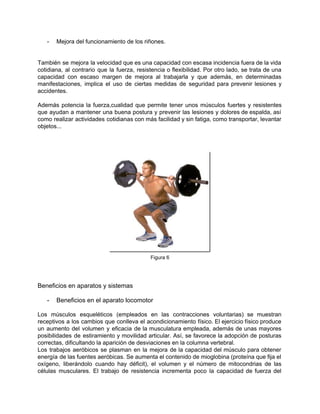­ Mejora del funcionamiento de los riñones. 
 
 
También se mejora la velocidad que es una capacidad con escasa incidencia fuera de la vida                               
cotidiana, al contrario que la fuerza, resistencia o flexibilidad. Por otro lado, se trata de una                               
capacidad con escaso margen de mejora al trabajarla y que además, en determinadas                         
manifestaciones, implica el uso de ciertas medidas de seguridad para prevenir lesiones y                         
accidentes. 
 
Además potencia la fuerza,cualidad que permite tener unos músculos fuertes y resistentes                       
que ayudan a mantener una buena postura y prevenir las lesiones y dolores de espalda, así                               
como realizar actividades cotidianas con más facilidad y sin fatiga, como transportar, levantar                         
objetos... 
 
 
 
 
Figura 6 
 
 
 
Beneficios en aparatos y sistemas  
 
­ Beneficios en el aparato locomotor 
 
Los músculos esqueléticos (empleados en las contracciones voluntarias) se muestran                   
receptivos a los cambios que conlleva el acondicionamiento físico. El ejercicio físico produce                         
un aumento del volumen y eficacia de la musculatura empleada, además de unas mayores                           
posibilidades de estiramiento y movilidad articular. Así, se favorece la adopción de posturas                         
correctas, dificultando la aparición de desviaciones en la columna vertebral. 
Los trabajos aeróbicos se plasman en la mejora de la capacidad del músculo para obtener                             
energía de las fuentes aeróbicas. Se aumenta el contenido de mioglobina (proteína que fija el                             
oxígeno, liberándolo cuando hay déficit), el volumen y el número de mitocondrias de las                           
células musculares. El trabajo de resistencia incrementa poco la capacidad de fuerza del                         
 