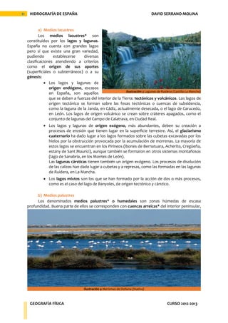 11    HIDROGRAFÍA DE ESPAÑA                                                          DAVID SERRANO MOLINA


            a) Medios lacustres
            Los medios lacustres* son
     constituidos por los lagos y lagunas.
     España no cuenta con grandes lagos
     pero sí que existe una gran variedad,
     pudiendo       establecerse     diversas
     clasificaciones atendiendo a criterios
     como el origen de sus aportes
     (superficiales o subterráneos) o a su
     génesis:
                 Los lagos y lagunas de
                  origen endógeno, escasos
                                                               Ilustración 3 Lagunas de Ruidera (Castilla-La Mancha)
                  en España, son aquellos
                  que se deben a fuerzas del interior de la Tierra: tectónicos y volcánicos. Los lagos de
                  origen tectónico se forman sobre las fosas tectónicas o cuencas de subsidencia,
                  como la laguna de la Janda, en Cádiz, actualmente desecada, o el lago de Carucedo,
                  en León. Los lagos de origen volcánico se crean sobre cráteres apagados, como el
                  conjunto de lagunas del Campo de Calatrava, en Ciudad Real.
                Los lagos y lagunas de origen exógeno, más abundantes, deben su creación a
                 procesos de erosión que tienen lugar en la superficie terrestre. Así, el glaciarismo
                 cuaternario ha dado lugar a los lagos formados sobre las cubetas excavadas por los
                 hielos por la obstrucción provocada por la acumulación de morrenas. La mayoría de
                 estos lagos se encuentran en los Pirineos (ibones de Bernatuara, Acherito, Cregüeña,
                 estany de Sant Maurici), aunque también se formaron en otros sistemas montañosos
                 (lago de Sanabria, en los Montes de León).
                 Las lagunas cársticas tienen también un origen exógeno. Los procesos de disolución
                 de las calizas han dado lugar a cubetas y a represas, como las formadas en las lagunas
                 de Ruidera, en La Mancha.
                Los lagos mixtos son los que se han formado por la acción de dos o más procesos,
                 como es el caso del lago de Banyoles, de origen tectónico y cárstico.

          b) Medios palustres
          Los denominados medios palustres* o humedales son zonas húmedas de escasa
     profundidad. Buena parte de ellos se corresponden con cuencas arreicas* del interior peninsular,




                                         Ilustración 4 Marismas de Doñana (Huelva)



      GEOGRAFÍA FÍSICA                                                                        CURSO 2012-2013
 