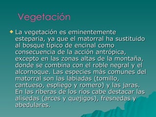 La vegetación es eminentemente esteparia, ya que el matorral ha sustituido al bosque típico de encinal como consecuencia de la acción antrópica, excepto en las zonas altas de la montaña, donde se combina con el roble negral y el alcornoque. Las especies más comunes del matorral son las labiadas (tomillo, cantueso, espliego y romero) y las jaras. En las riberas de los ríos cabe destacar las alisedas (arces y quejigos), fresnedas y abedulares.  