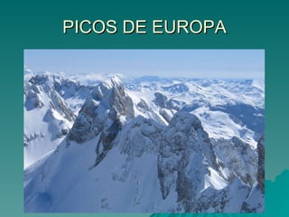 PICOS DE EUROPA 