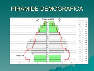 PIRÁMIDE DEMOGRÁFICA 