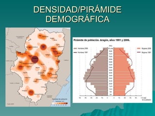 DENSIDAD/PIRÁMIDE DEMOGRÁFICA 