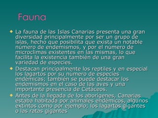 La fauna de las Islas Canarias presenta una gran diversidad principalmente por ser un grupo de islas, hecho que posibilita que exista un notable número de endemismos, y por el número de microclimas existentes en las mismas, lo que facilita la existencia también de una gran variedad de especies. Destacan principalmente los reptiles y en especial los lagartos por su número de especies endémicas; también se puede destacar los endemismos en el caso de las aves y una importante presencia de Cetáceos. Antes de la llegada de los aborígenes, Canarias estaba habitada por animales endémicos, algunos extintos como por ejemplo; los lagartos gigantes o las ratas gigantes 