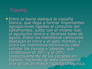 Entre la fauna destaca la cigüeña blanca, que llega a formar importantes agregaciones ligadas al consumo del saltamontes, junto con el milano real, el aguilucho cenizo y diversos tipos de águila. Entre los mamíferos carnívoros destacan el zorro y el gato montés, y entre los mamíferos herbívoros cabe señalar los ciervos y jabalíes, que constituyen el 30% y el 20% respectivamente de los cazados en España, haciendo de esta comunidad una de las de mayor riqueza cinegética. 