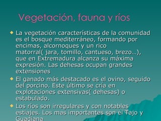 La vegetación características de la comunidad es el bosque mediterráneo, formando por encimas, alcornoques y un rico matorral( jara, tomillo, cantueso, brezo…), que en Extremadura alcanza su máxima expresión. Las dehesas ocupan grandes extensiones El ganado más destacado es el ovino, seguido del porcino. Este último se cría en explotaciones extensivas( dehesas) o estabulado. Los ríos son irregulares y con notables estiajes. Los mas importantes son el Tajo y Guadiana  