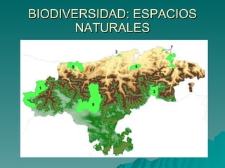 BIODIVERSIDAD: ESPACIOS NATURALES 