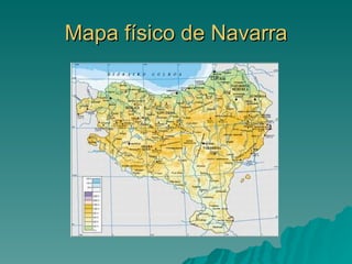 Mapa físico de Navarra 