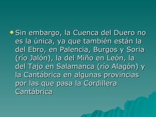 Sin embargo, la Cuenca del Duero no es la única, ya que también están la del Ebro, en Palencia, Burgos y Soria (río Jalón), la del Miño en León, la del Tajo en Salamanca (río Alagón) y la Cantábrica en algunas provincias por las que pasa la Cordillera Cantábrica 