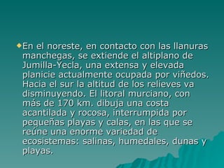 En el noreste, en contacto con las llanuras manchegas, se extiende el altiplano de Jumilla-Yecla, una extensa y elevada planicie actualmente ocupada por viñedos. Hacia el sur la altitud de los relieves va disminuyendo. El litoral murciano, con más de 170 km. dibuja una costa acantilada y rocosa, interrumpida por pequeñas playas y calas, en las que se reúne una enorme variedad de ecosistemas: salinas, humedales, dunas y playas. 