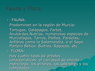 -  FAUNA: Predominan en la región de Murcia: Tortugas, Galápagos, Fartet, Avutardas,Nutrias, numerosas especies de Murciélagos, Tarros, Paíños, Pardelas, Anfibios como la Salamandra, o el Sapo Partero Bético, Buitres, Rapaces, etc. -  FLORA:  Hay cuatro tipos de arboles característicos: el carrascal de encina manchega, los pinares, los sabinares y los robledades. 