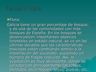Flora: Galicia tiene un gran porcentaje de bosque, y es una de las comunidades con más bosques de España. En los bosques se desenvuelven importantes especies forestales en estado natural, se ve en las últimas décadas que las características boscosas están cambiando debido a la importación del eucalipto, quedando un número de fragas reducido. Así, la vegetación es muy abundante, donde se caracterizan principalmente los robles, abedules, alcornoques, tejos, acebos, etc. 