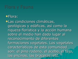 Flora: Las condiciones climáticas, geológicas y edáficas, así como la riqueza florística y la acción humana sobre el medio han dado lugar al reconocimiento de diferentes formaciones vegetales. Los vegetales característicos de esta comunidad son: el pino rodeno, el acebo, el tejo, las encinas, las braceras, etc. 