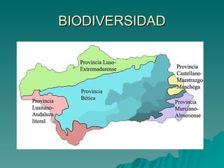 BIODIVERSIDAD 