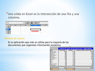 *Una celda en Excel es la intersección de una fila y una 
columna. 
* 
Plantilla de calculo 
Es la aplicación que más se utiliza para la mayoría de los 
documentos que organizan información numérica 
 