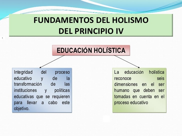 Taller 3 El modelo holístico sistémico