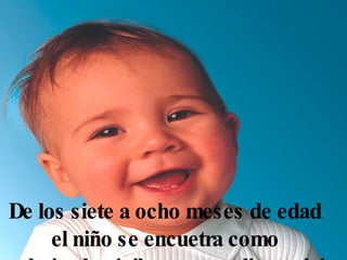 De los siete a ocho meses de edad
     el niño se encuetra como
 