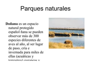 Santuario de Nuestra Señora de la Cinta Santuario de Nuestra Señora de la Cinta : tranquilo edificio de estilo gótico-mudéjar, construido en honor de la patrona de la ciudad. Era el lugar donde rezaba Colón tras su vuelta de América. Se puede disfrutar de bonitas vistas de las marísmas del río Odiel. 