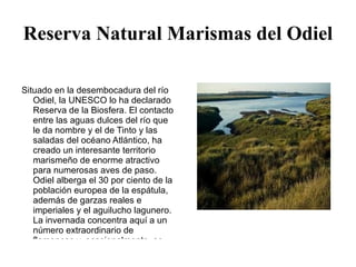 Catedral la Merced Catedral   "La Merced" : antiguamente formaba parte de un convento. Denominada catedral en el año 1953, este monumento barroco es lo más bonito de la región. 