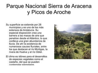 Iglesia San Pedro Iglesia San Pedro : construida en el siglo XV en estilo mudéjar y restaurada (barroco) en el siglo XVIII. 