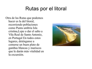 Reserva Natural Marismas del Odiel Situado en la desembocadura del río Odiel, la UNESCO lo ha declarado Reserva de la Biosfera. El contacto entre las aguas dulces del río que le da nombre y el de Tinto y las saladas del océano Atlántico, ha creado un interesante territorio marismeño de enorme atractivo para numerosas aves de paso. Odiel alberga el 30 por ciento de la población europea de la espátula, además de garzas reales e imperiales y el aguilucho lagunero. La invernada concentra aquí a un número extraordinario de flamencos y, ocasionalmente, se pueden ver cigüeñas negras, mirtos y grullas. 