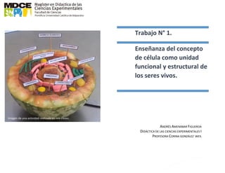 Imagen de una actividad realizada en mis clases.
Trabajo N° 1.
Enseñanza del concepto
de célula como unidad
funcional y estructural de
los seres vivos.
ANDRÉS AMENÁBAR FIGUEROA
DIDÁCTICA DE LAS CIENCIAS EXPERIMENTALES I
PROFESORA CORINA GONZÁLEZ WEIL
 