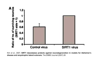 Kim et al., 2007. SIRT1 deacetylase protects against neurodegeneration in models for Alzheimer’s
disease and amyotrophic lateral sclerosis. The EMBO Journal (2007) 26
 