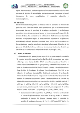 TRABAJO INDIVIDUAL - FINAL - cascara de platano.pdf