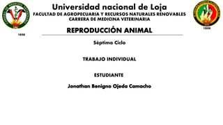 Universidad nacional de Loja
FACULTAD DE AGROPECUARIA Y RECURSOS NATURALES RENOVABLES
CARRERA DE MEDICINA VETERINARIA
Séptimo Ciclo
TRABAJO INDIVIDUAL
ESTUDIANTE:
 