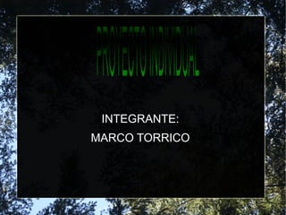 INTEGRANTE:
MARCO TORRICO
 