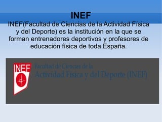 INEF INEF(Facultad de Ciencias de la Actividad Física y del Deporte) es la institución en la que se forman entrenadores deportivos y profesores de educación física de toda España. 