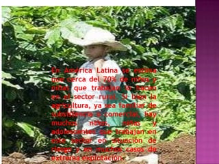 En América Latina se estima
que cerca del 70% de niños y
niñas que trabajan lo hacen
en el sector rural. Si bien la
agricultura, ya sea familiar de
subsistencia o comercial, hay
muchos     niños,    niñas    y
adolescentes que trabajan en
este sector en situación de
riesgo y en muchos casos de
extrema explotación.
 