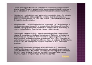 Charles Sherrington: Estudia los fundamentos neurales del comportamiento
reflejo. Descubrió que es posible inhibir las neuronas además de excitarlas, y
que la integración de esas señales determina la acción del sistema nervioso.

Edgar Adrian : Ideó métodos para registrar los potenciales de acción, que son
las señales eléctricas utilizadas por las neuronas para la comunicación.
Descubre que son señales del tipo “todo o nada”. Comparte el Premio Nobel
de Medicina con Sherrington.

Julius Bernstein : Discípulo de Helmholtz, propone en 1902 la hipótesis de la
membrana porosa para describir el proceso de conducción eléctrica en las
neuronas. Dedujo que hay una diferencia de potencial entre el interior y el
exterior de la célula nerviosa, incluso cuando está en reposo.

Alan Hodgkin y Andrew Huxley : desarrollan investigaciones sobre el axón
gigante de las células nerviosas de los calamares. Confirman la hipótesis de
Bernstein de que el potencial de membrana en reposo se genera por el
desplazamiento de iones potasio hacia el exterior de la célula y de iones de
sodio hacia su interior. Comparten el Premio Nobel de Medicina de 1963 (junto
a John Eccles, por investigación sobre las bases iónicas de la transmisión
nerviosa).

Henry Dale y Otto Loewi : proponen la teoría química de la transmisión
sináptica. Descubren, en forma independiente, que cuando un potencial de
acción de una neurona del sistema nervioso autónomo llega a los terminales
del axón, causa la liberación de una sustancia química en la hendidura
sináptica. Reciben el Premio Nobel de Medicina de 1936.
                                                                  Seguir
 