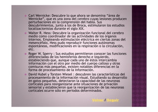 Carl Wernicke: Descubre lo que ahora se denomina “área de
Wernicke”, que es una zona del cerebro cuyas lesiones producen
perturbaciones en la comprensión del habla. Sus
descubrimientos, junto a los de Broca, estimularon los estudios
localizacionistas durante el siglo XIX.
Walter R. Hess: Descubre la organización funcional del cerebro
medio como coordinador de las actividades de los órganos
internos. Empleando estimulación eléctrica en ciertas zonas del
mesencéfalo, Hess pudo reproducir funciones autónomas
espontáneas, modificaciones en la respiración o la circulación,
etc.
Roger W. Sperry : Sus estudios permitieron conocer las funciones
diferenciadas de los hemisferios derecho e izquierdo,
estableciendo que, aunque cada uno de éstos intercambia
información con el otro por medio del cuerpo calloso y otras
comisuras más pequeñas, existen notables diferencias en la
forma de procesamiento de la información.
David Hubel y Torsten Wiesel : descubren las características del
procesamiento de la información visual. Estudiando su desarrollo
en gatos pequeños, detectaron la capacidad de las neuronas
corticales para reorganizarse ante situaciones de privación
sensorial y establecieron que la reorganización de las neuronas
corticales ocurre sólo en periodos determinados.

                                         Volver / Seguir
 