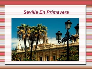 Sevilla En Primavera 