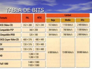 TABLA DE BITS 