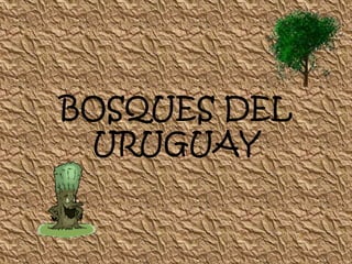 BOSQUES DEL
 URUGUAY
 