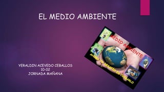 EL MEDIO AMBIENTE
YERALDIN ACEVEDO CEBALLOS
10-02
JORNADA MAÑANA
 